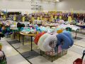 2008 03 31 mj sale s08 022.jpg